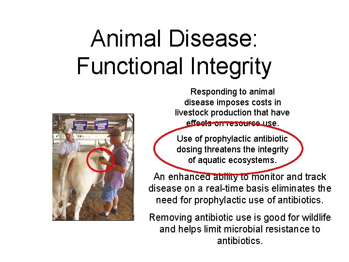 Animal Disease: Functional Integrity Responding to animal disease imposes costs in livestock production that