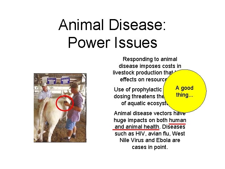Animal Disease: Power Issues Responding to animal disease imposes costs in livestock production that
