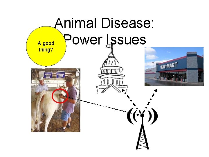 Animal Disease: Power Issues A good thing? 