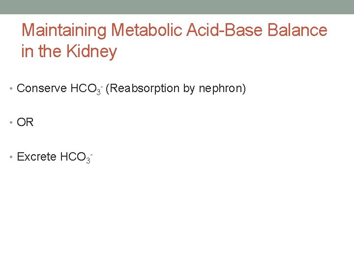 Maintaining Metabolic Acid-Base Balance in the Kidney • Conserve HCO 3 - (Reabsorption by