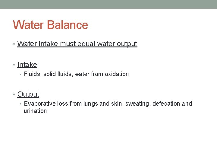 Water Balance • Water intake must equal water output • Intake • Fluids, solid