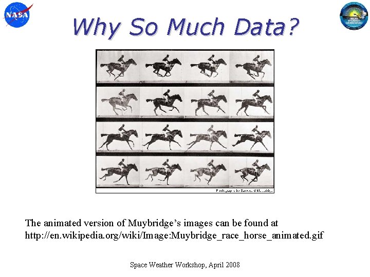 Why So Much Data? The animated version of Muybridge’s images can be found at