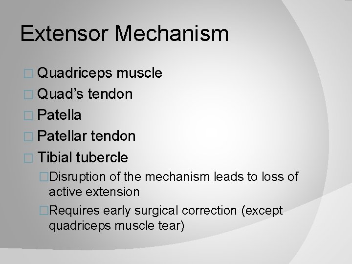 Extensor Mechanism � Quadriceps muscle � Quad’s tendon � Patellar tendon � Tibial tubercle