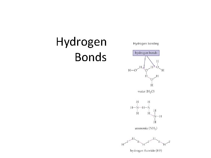 Hydrogen Bonds 