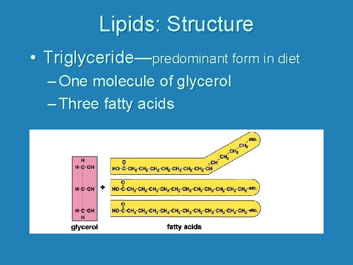 Lipids: Structure • Triglyceride—predominant form in diet – One molecule of glycerol – Three