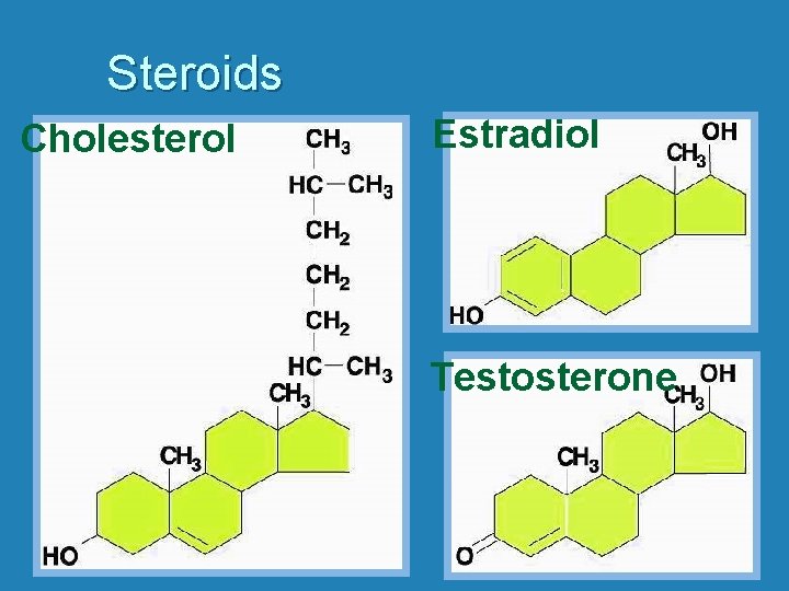 Steroids Cholesterol Estradiol Testosterone 