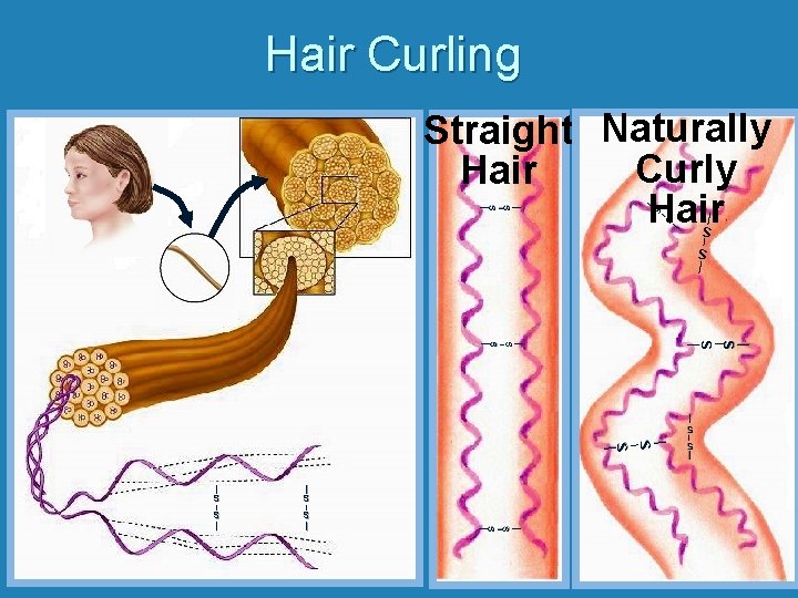 Hair Curling S | | S Straight Naturally Curly Hair | | | S