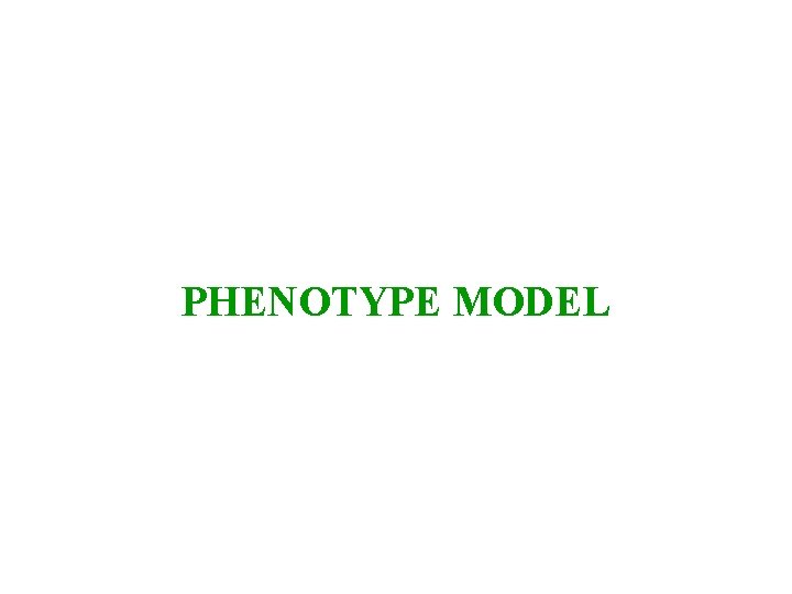 PHENOTYPE MODEL 