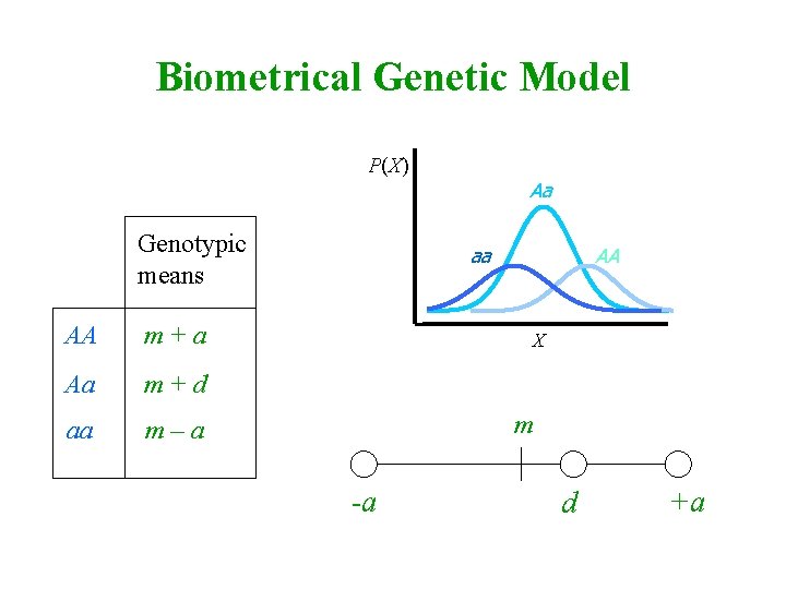 Biometrical Genetic Model P(X) Genotypic means AA m+a Aa m+d aa m–a Aa aa