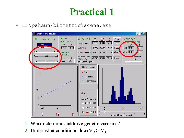 Practical 1 • H: pshaunbiometricsgene. exe 1. What determines additive genetic variance? 2. Under