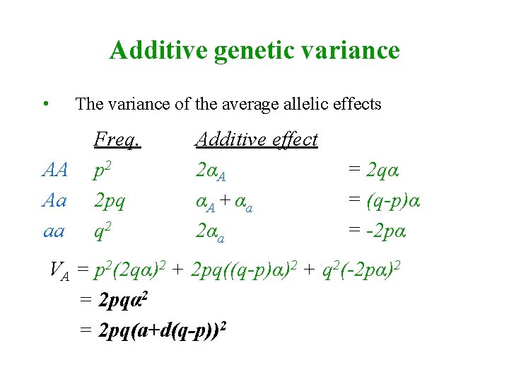 Additive genetic variance • AA Aa aa The variance of the average allelic effects