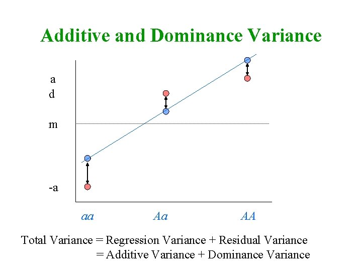 Additive and Dominance Variance a d m -a aa Aa AA Total Variance =