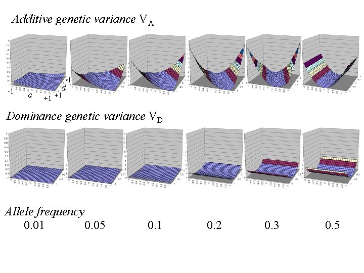 Additive genetic variance VA -1 -1 a d +1 +1 Dominance genetic variance VD