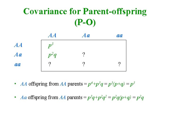 Covariance for Parent-offspring (P-O) AA Aa AA p 3 Aa p 2 q ?