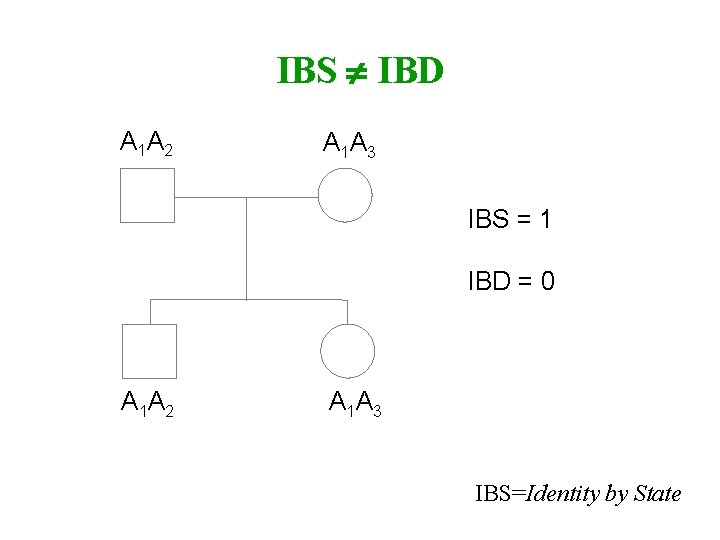 IBS IBD A 1 A 2 A 1 A 3 IBS = 1 IBD