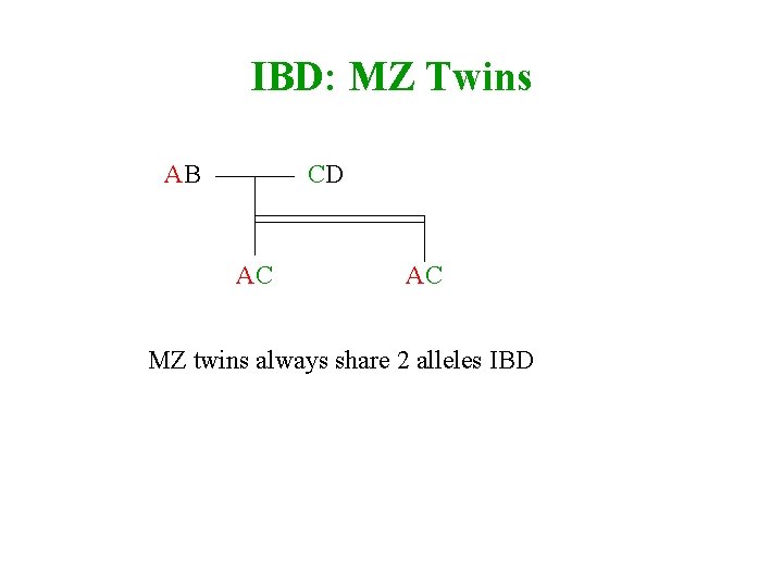 IBD: MZ Twins AB CD AC AC MZ twins always share 2 alleles IBD