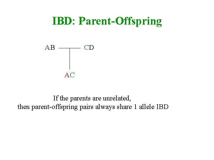 IBD: Parent-Offspring AB CD AC If the parents are unrelated, then parent-offspring pairs always