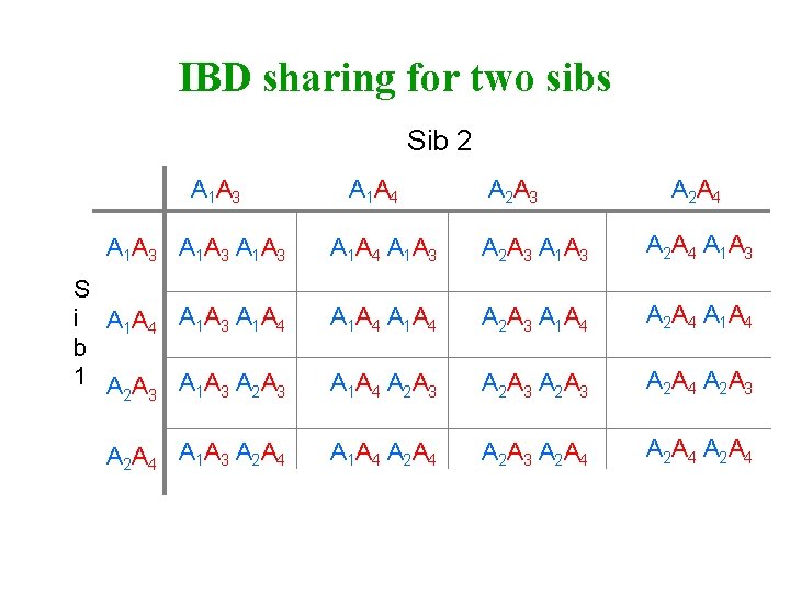 IBD sharing for two sibs Sib 2 A 1 A 3 S i A