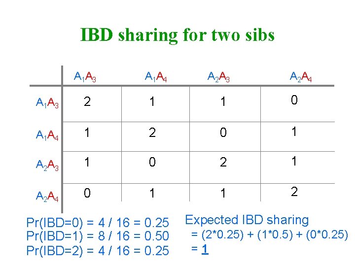 IBD sharing for two sibs A 1 A 3 A 1 A 4 A