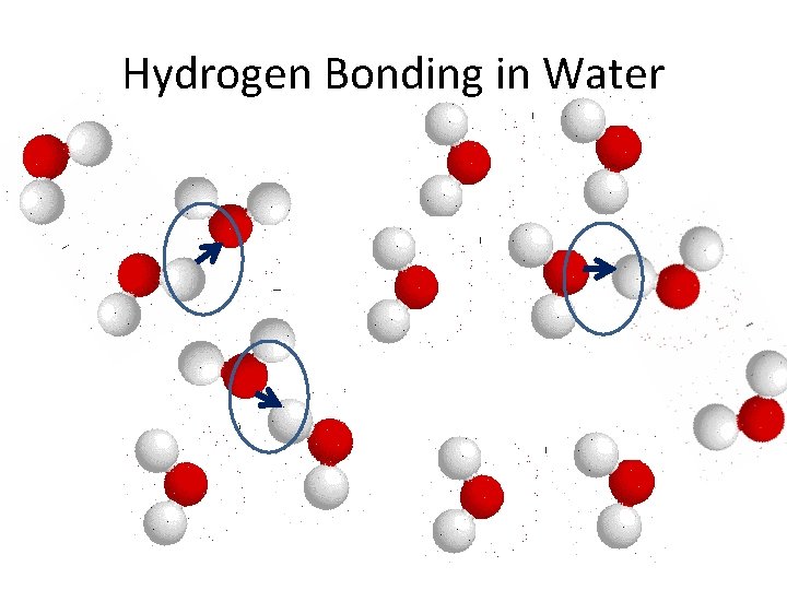 Hydrogen Bonding in Water 
