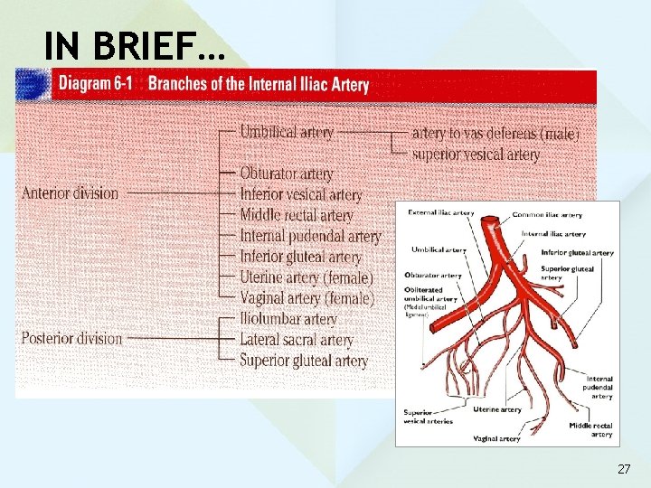 IN BRIEF… 27 