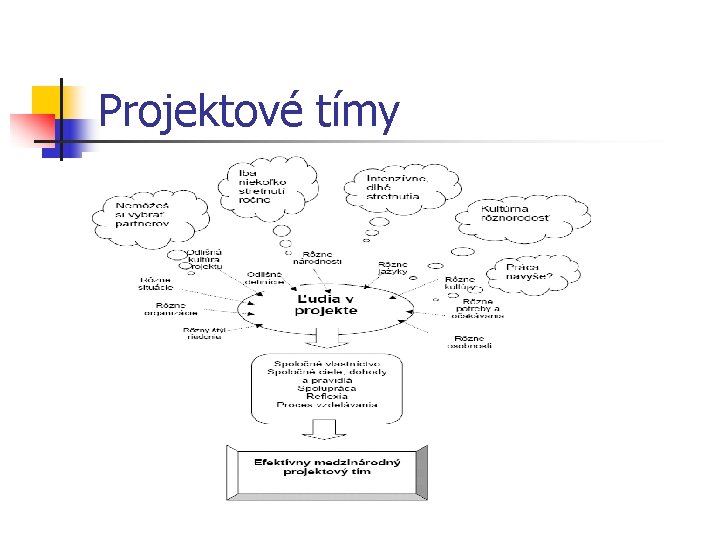 Projektové tímy 