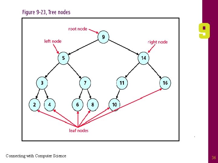 Connecting with Computer Science 36 