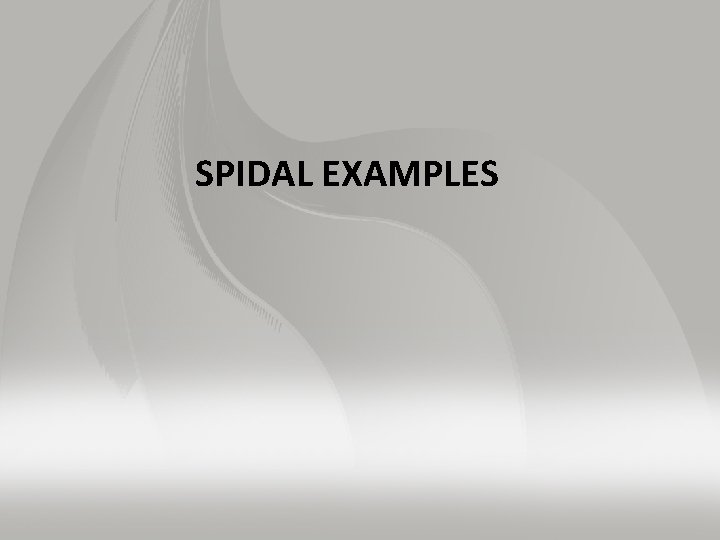 SPIDAL EXAMPLES 