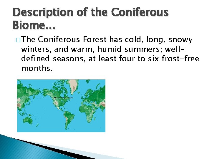 Description of the Coniferous Biome… � The Coniferous Forest has cold, long, snowy winters,