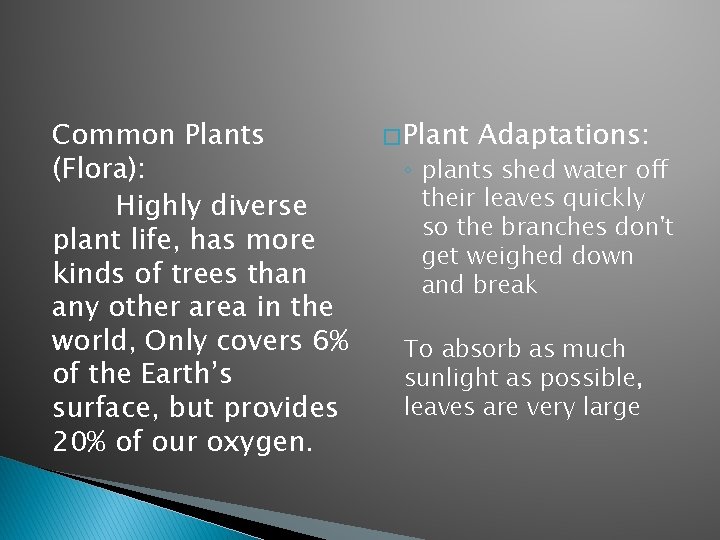 Common Plants (Flora): Highly diverse plant life, has more kinds of trees than any