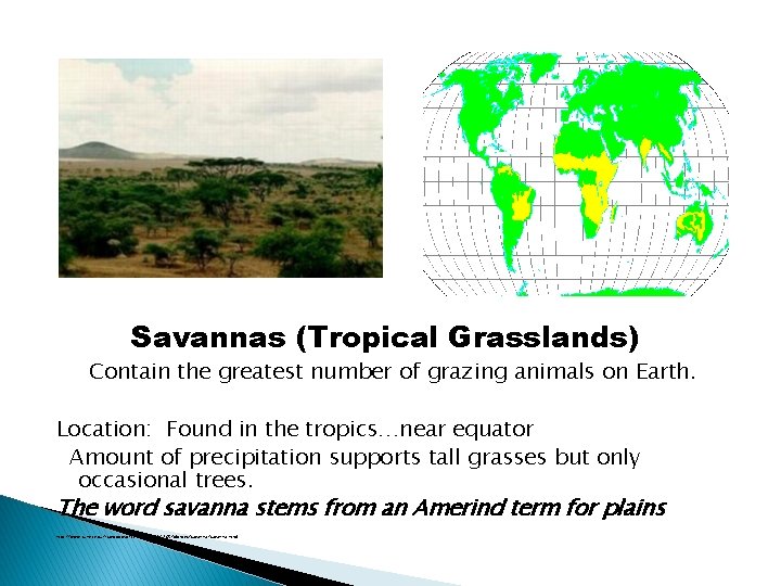 Savannas (Tropical Grasslands) Contain the greatest number of grazing animals on Earth. Location: Found