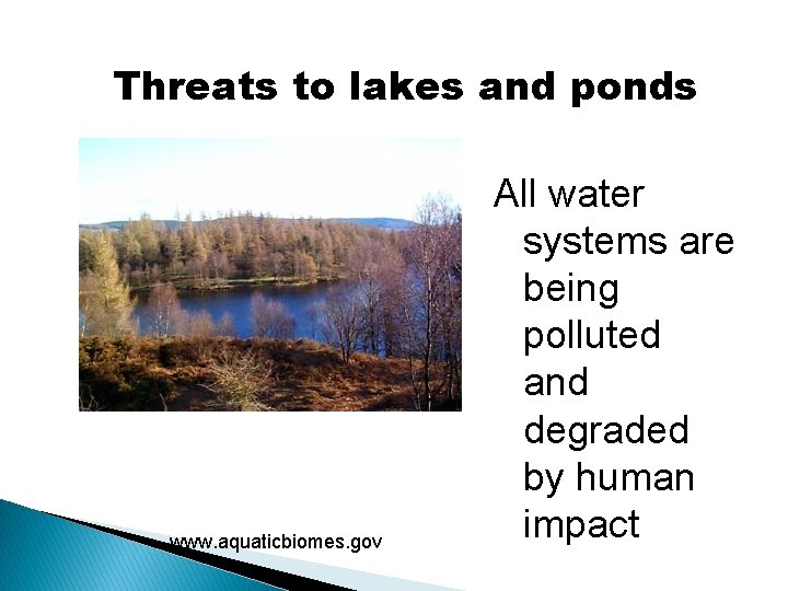 Threats to lakes and ponds www. aquaticbiomes. gov All water systems are being polluted