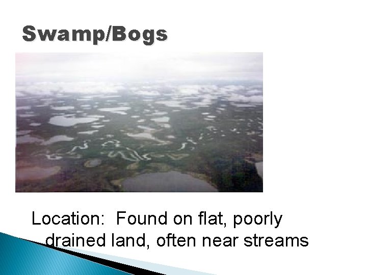 Swamp/Bogs Location: Found on flat, poorly drained land, often near streams 