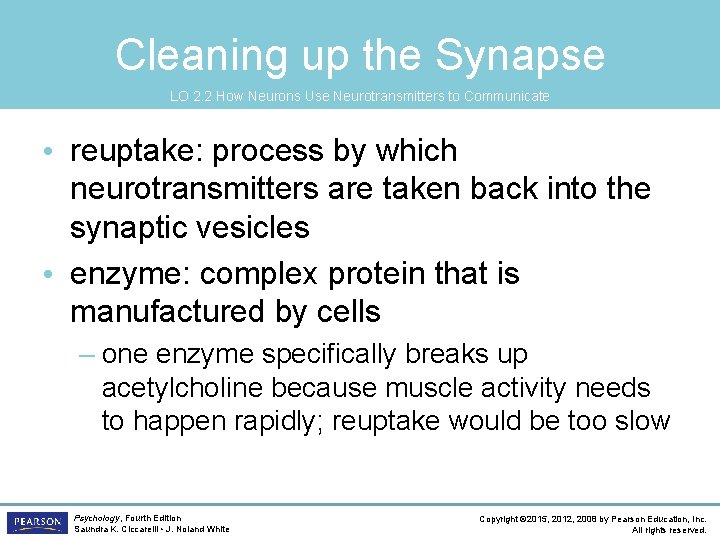 Cleaning up the Synapse LO 2. 2 How Neurons Use Neurotransmitters to Communicate •