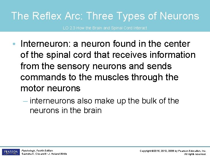 The Reflex Arc: Three Types of Neurons LO 2. 3 How the Brain and