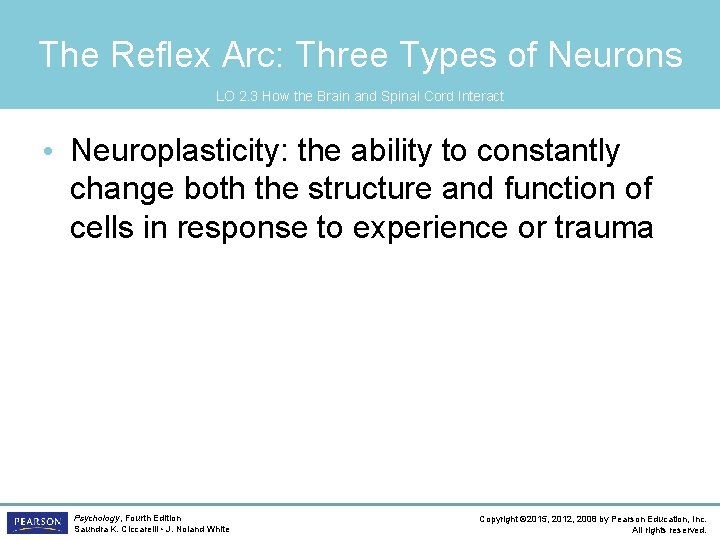 The Reflex Arc: Three Types of Neurons LO 2. 3 How the Brain and