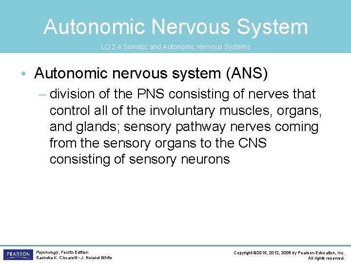 Autonomic Nervous System LO 2. 4 Somatic and Autonomic Nervous Systems • Autonomic nervous