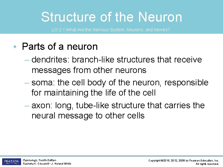 Structure of the Neuron LO 2. 1 What Are the Nervous System, Neurons, and
