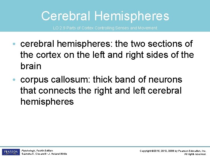 Cerebral Hemispheres LO 2. 9 Parts of Cortex Controlling Senses and Movement • cerebral