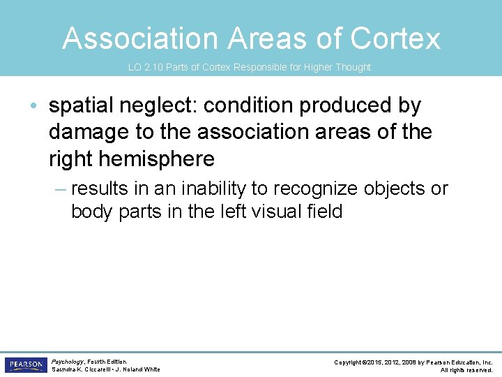 Association Areas of Cortex LO 2. 10 Parts of Cortex Responsible for Higher Thought