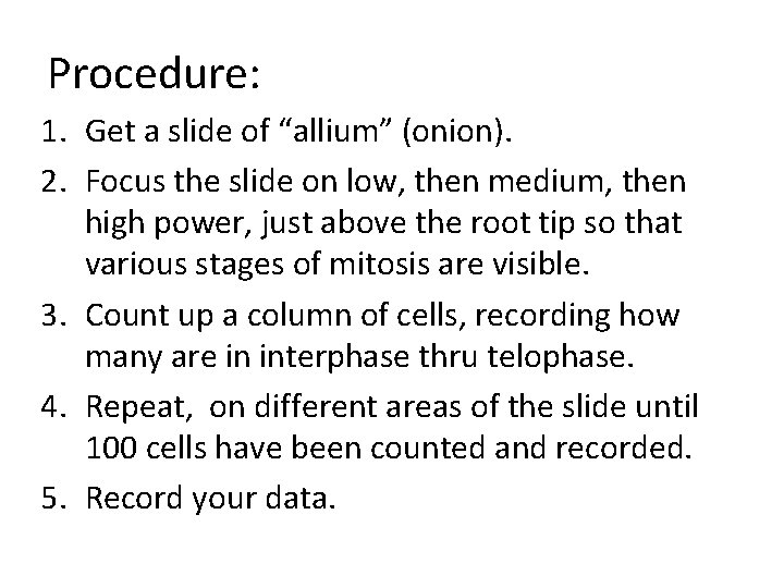 Procedure: 1. Get a slide of “allium” (onion). 2. Focus the slide on low,