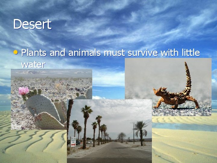 Desert • Plants and animals must survive with little water 