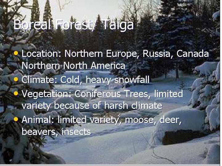 Boreal Forest/ Taiga • Location: Northern Europe, Russia, Canada Northern North America • Climate: