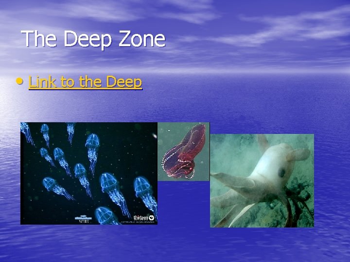 The Deep Zone • Link to the Deep 