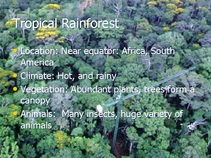 Tropical Rainforest • Location: Near equator: Africa, South America • Climate: Hot, and rainy