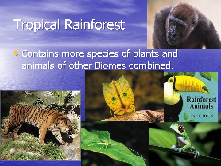 Tropical Rainforest • Contains more species of plants and animals of other Biomes combined.