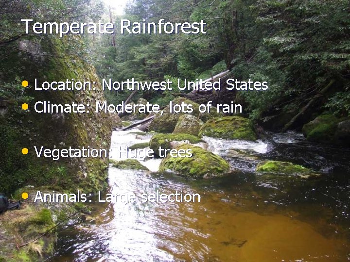 Temperate Rainforest • Location: Northwest United States • Climate: Moderate, lots of rain •