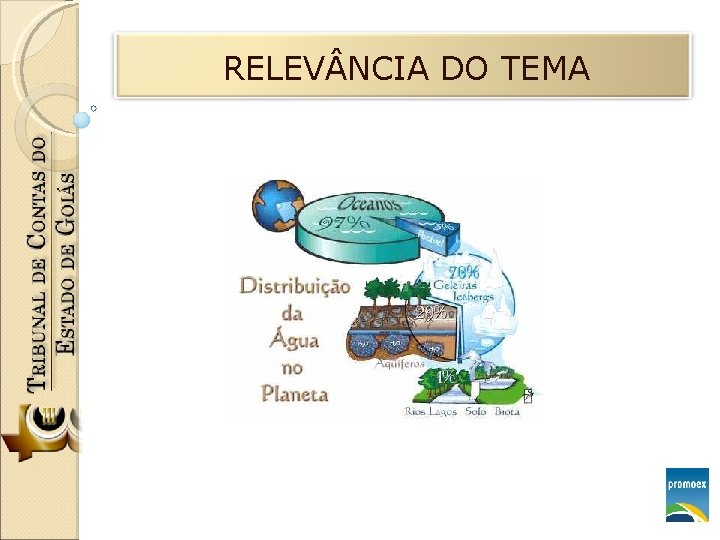 RELEV NCIA DO TEMA 