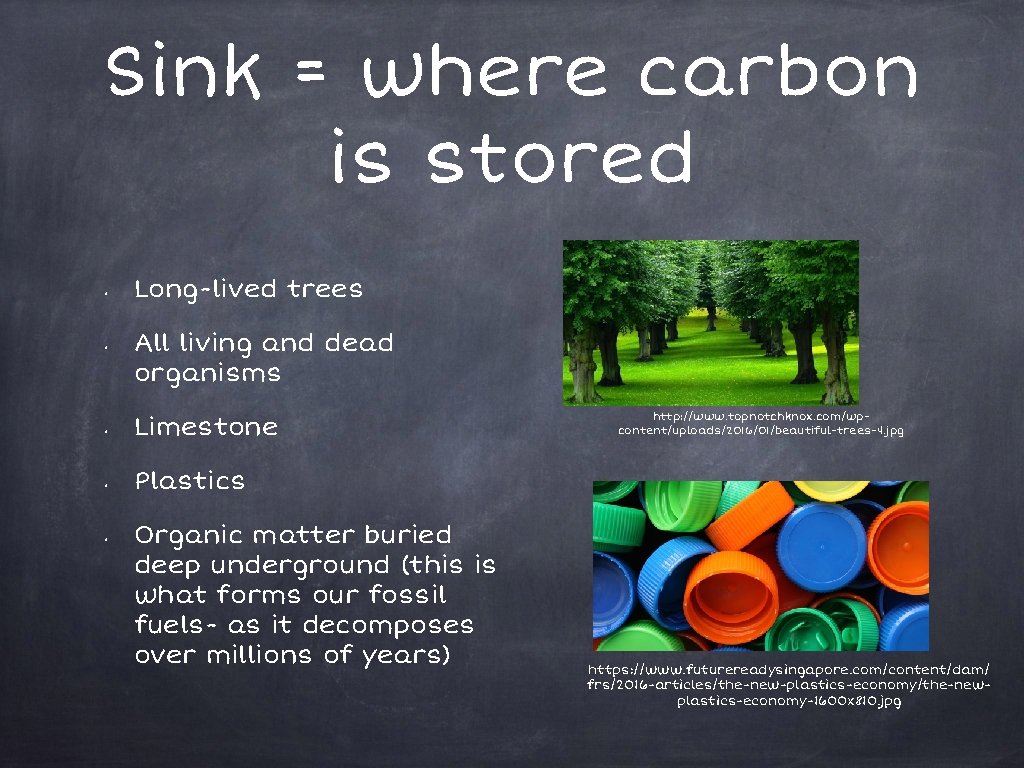 Sink = where carbon is stored • • Long-lived trees All living and dead