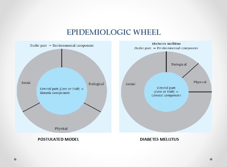 EPIDEMIOLOGIC WHEEL POSTULATED MODEL DIABETES MELLITUS 